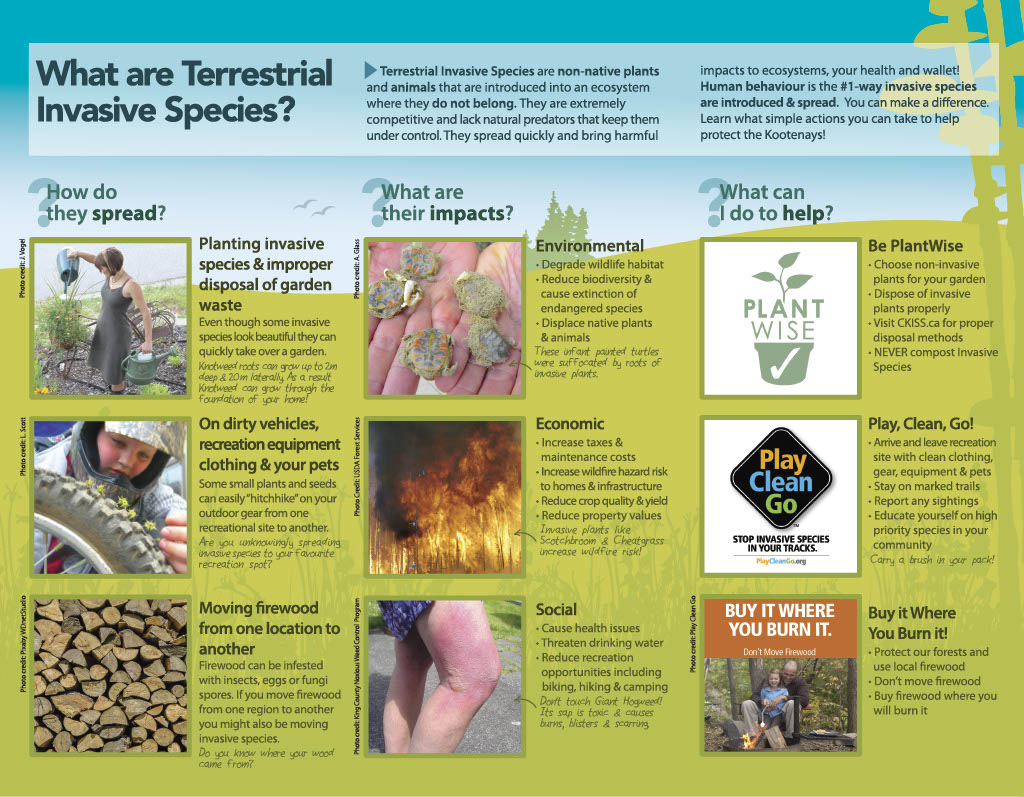 CKISS Brochure - Protect the Kootenays from Terrestrial Invaders