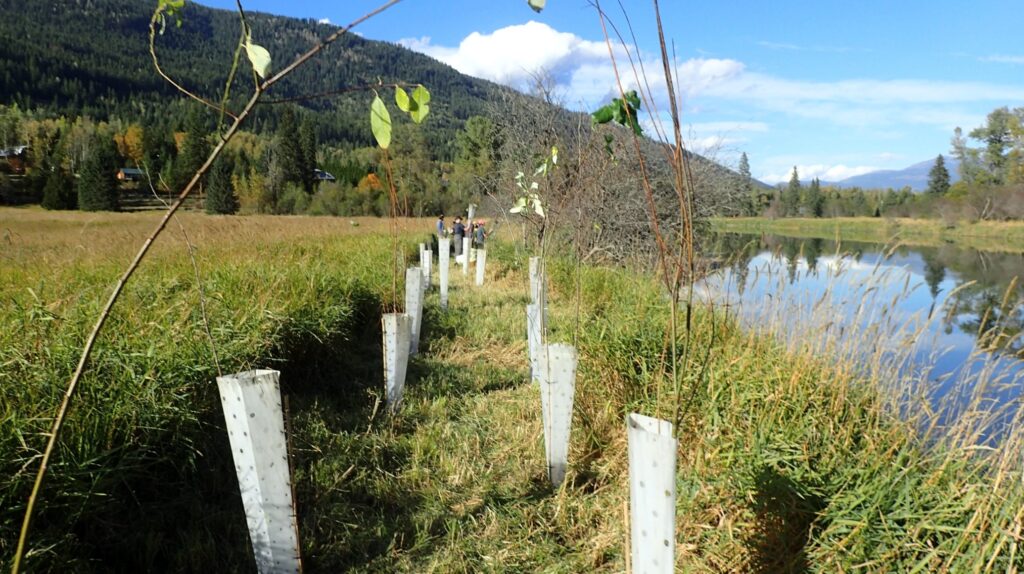 Slocan River Streamkeepers
