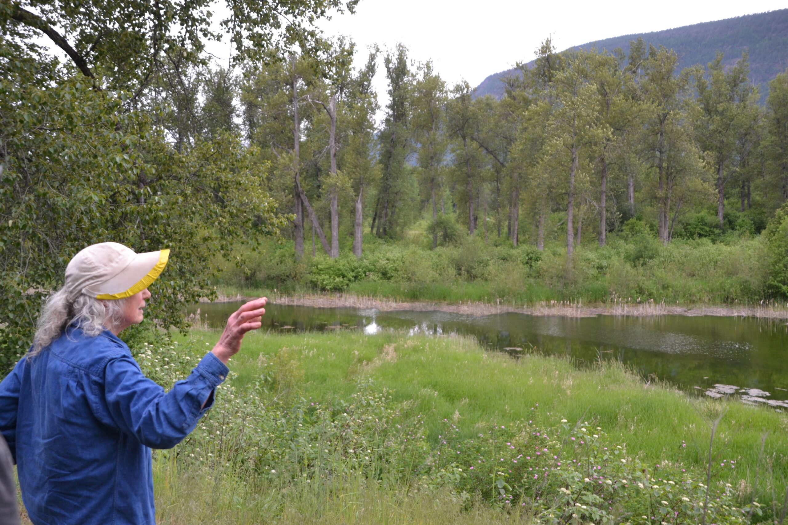 Argenta_Slough_Brenda