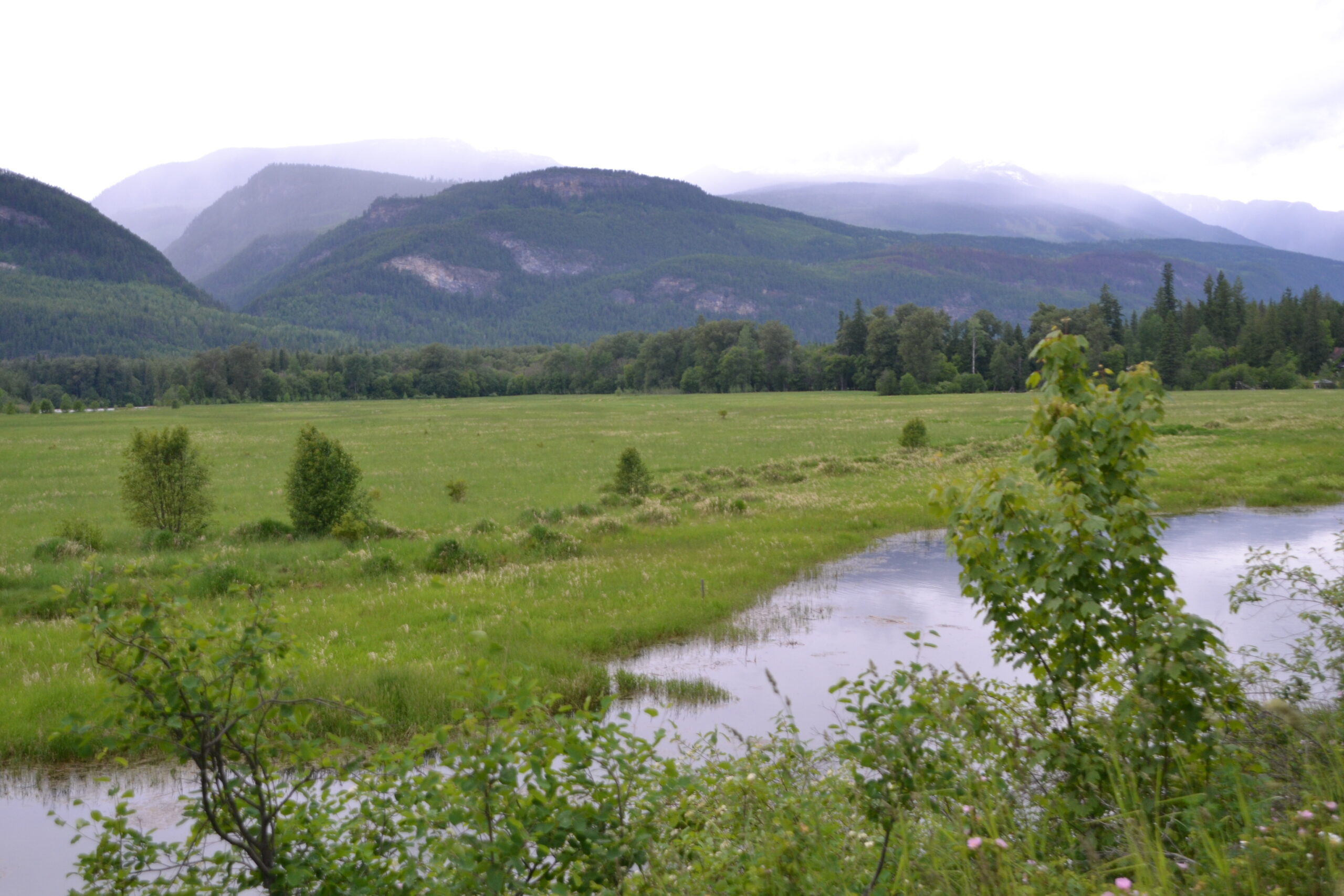 Argenta_Slough_Landscape