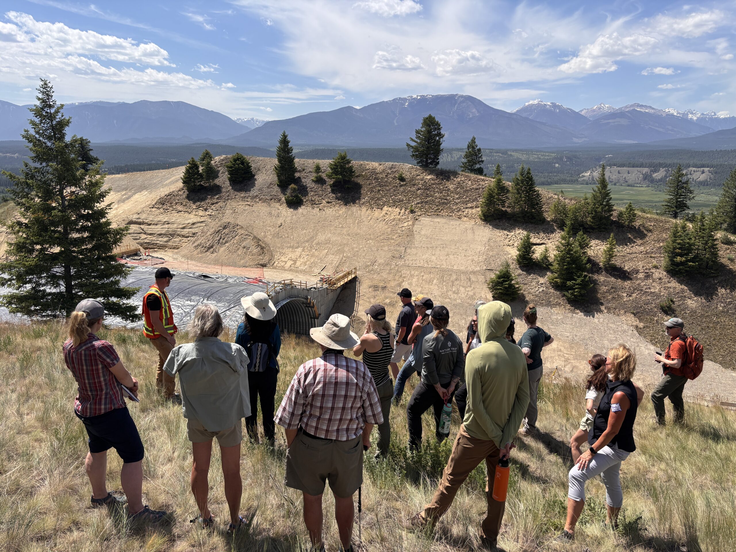 EKSC_2025_Radium Wildlife Overpass 2