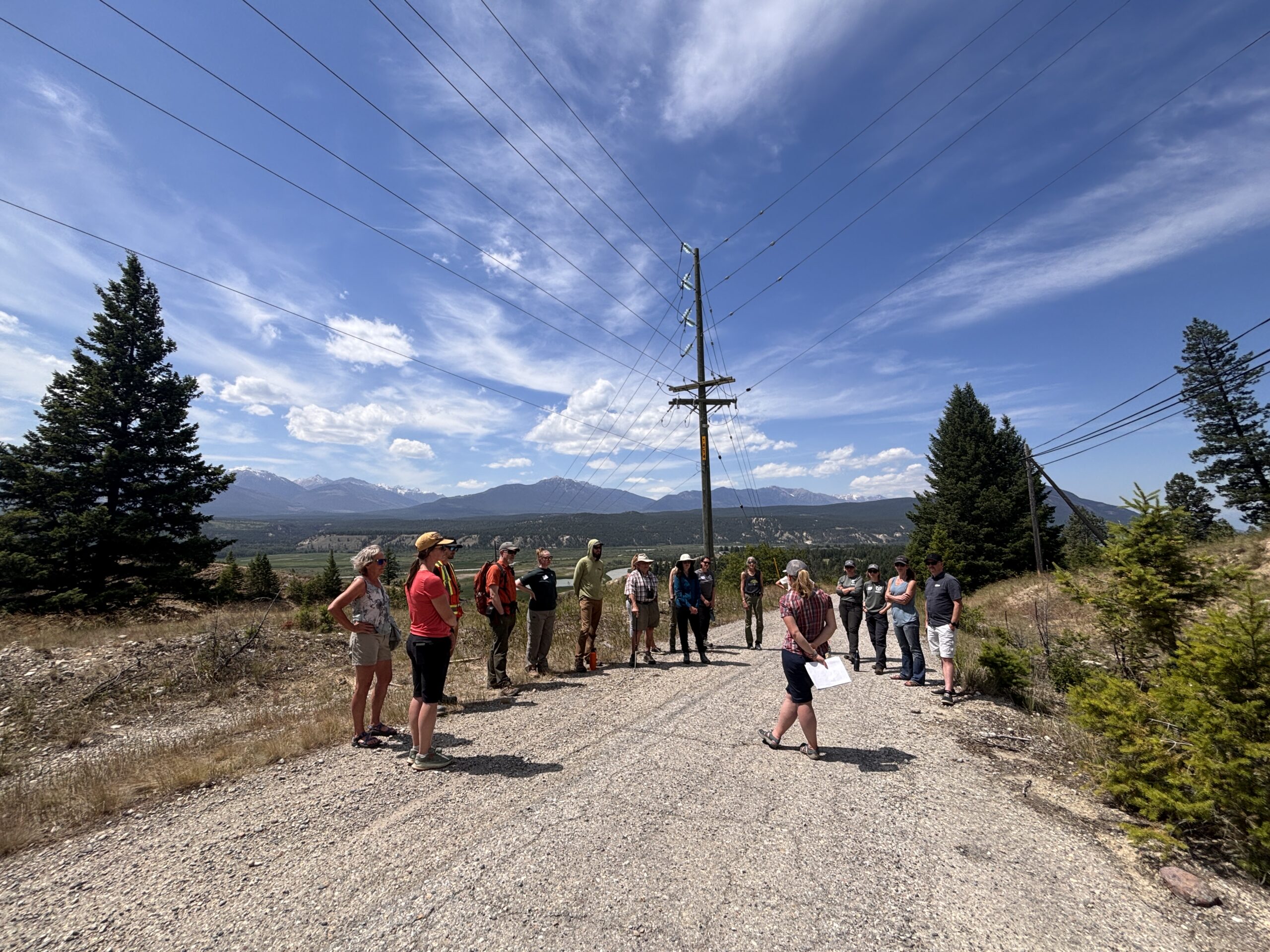 EKSC_2025_Radium Wildlife Overpass 4