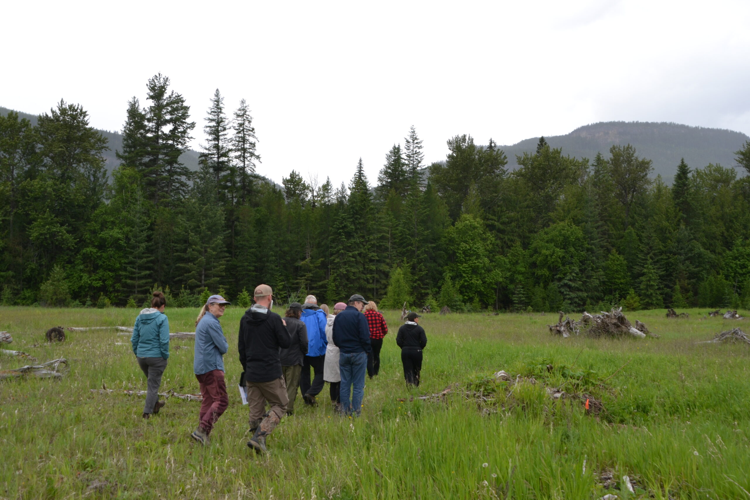 NTBC_DuncanLardeau_Group_walking