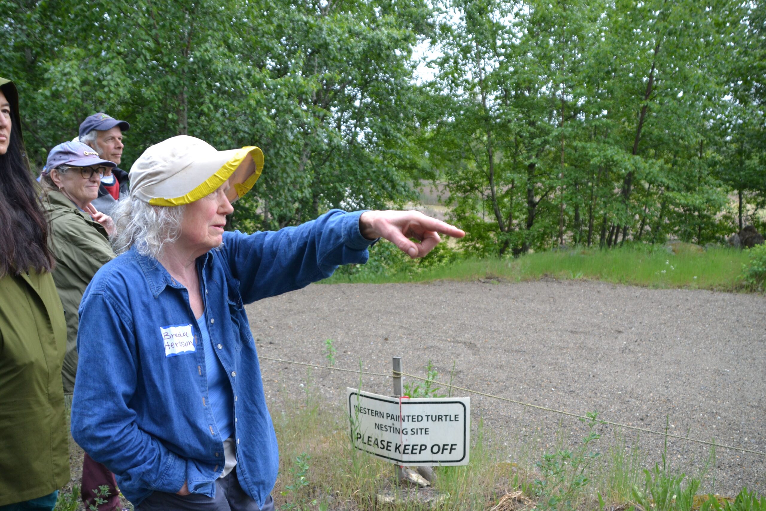 WPT_Nesting_Site_Brenda