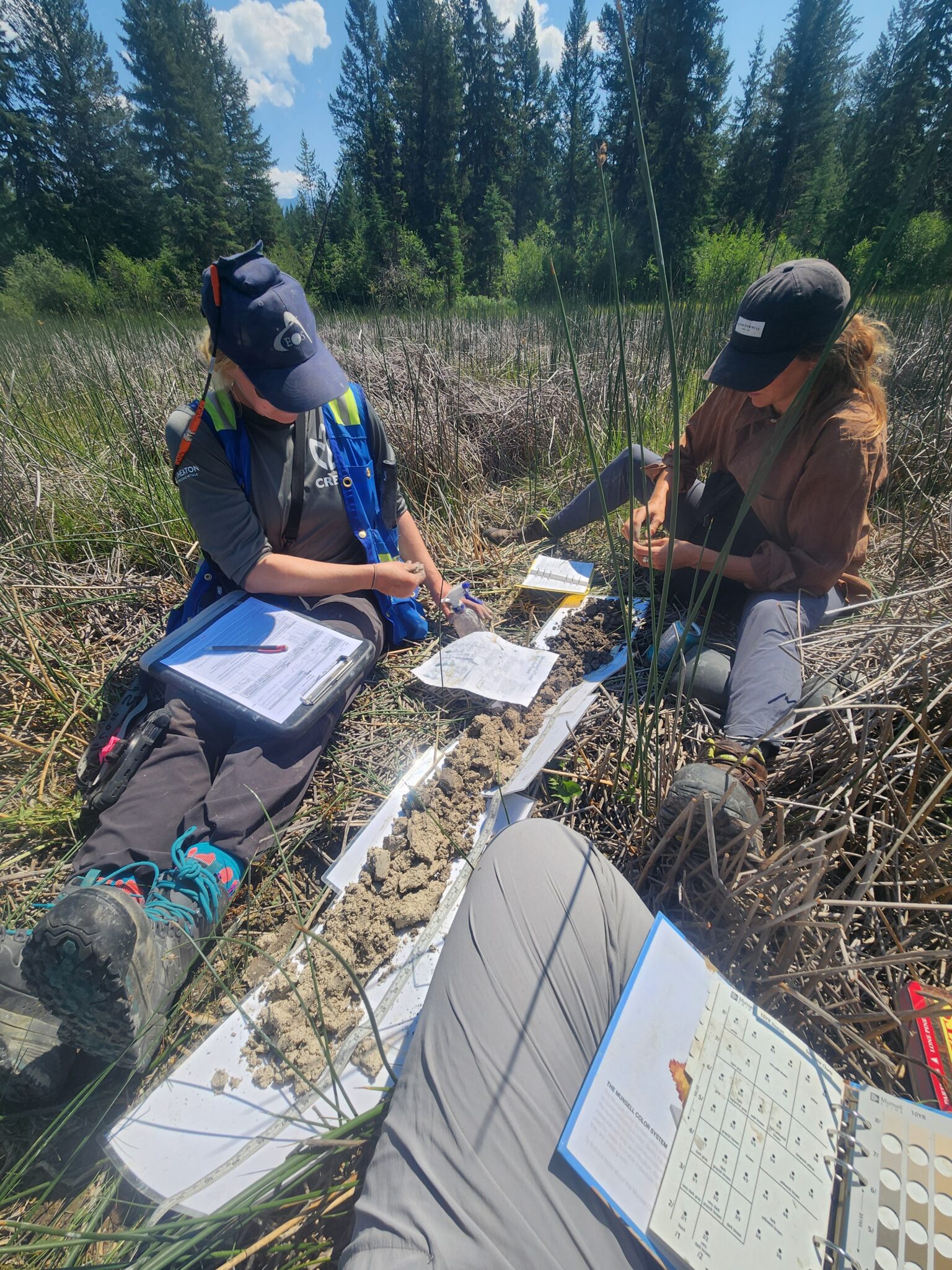 Call for 2026 Local Conservation Fund projects now open - Kootenay ...
