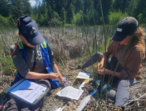 Call for 2026 Local Conservation Fund projects now open