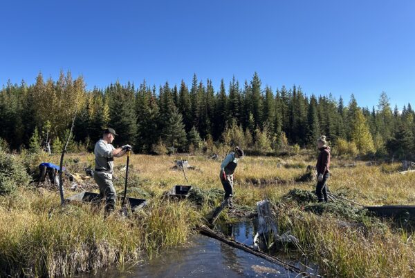 10,000 Wetlands Initiative: Low-Tech Process-Based Restoration in the ...