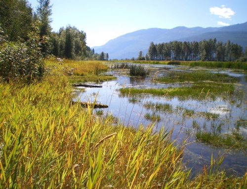 Resource Directory: Kootenay Connect Priority Places