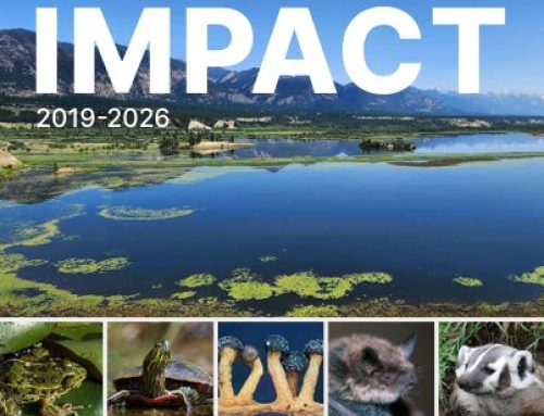 Impact Report: Kootenay Connect Priority Places, 2019 – 2026