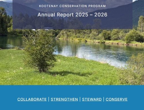KCP Annual Report 2025/26