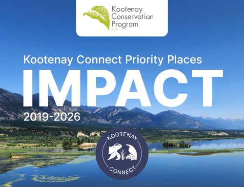 Impact Report: Kootenay Connect Priority Places, 2019 – 2026