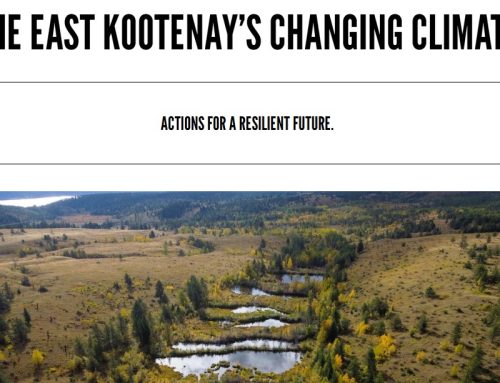 The East Kootenay’s Changing Climate: Actions for a resilient Future.
