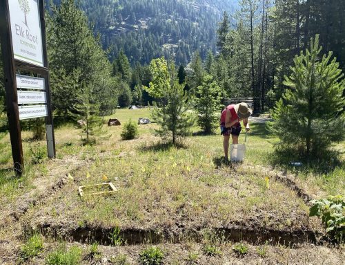 Call for 2027 Local Conservation Fund projects now open